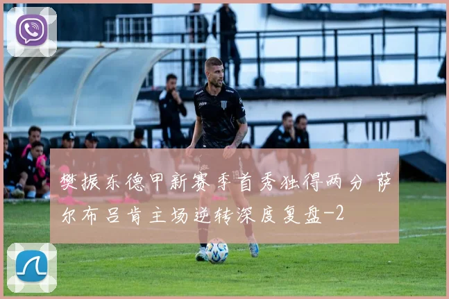 樊振东德甲新赛季首秀独得两分 萨尔布吕肯主场逆转深度复盘