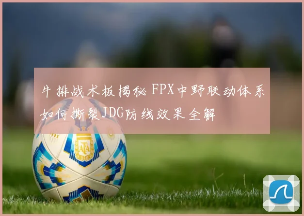 牛排战术板揭秘 FPX中野联动体系如何撕裂JDG防线效果全解